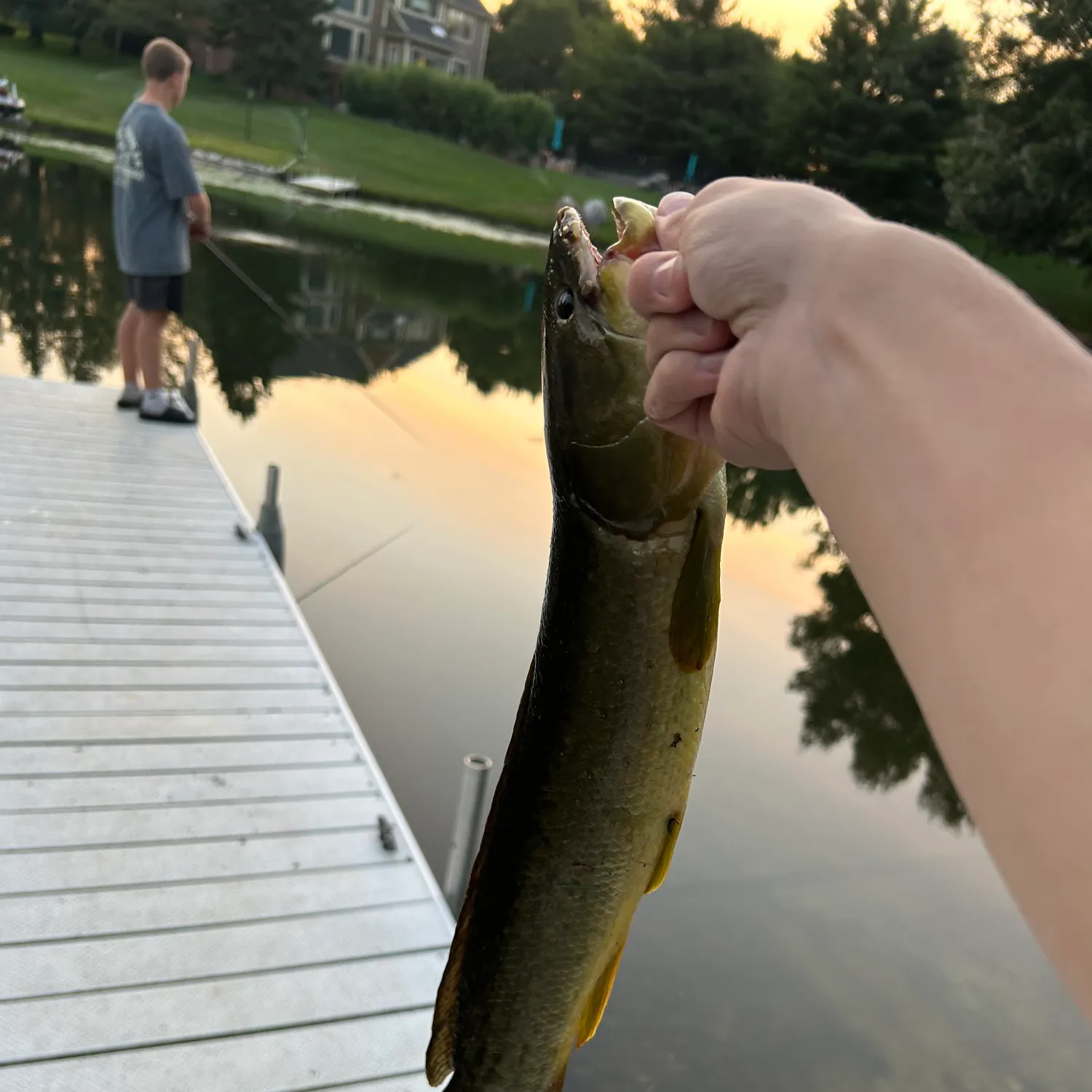 catch
