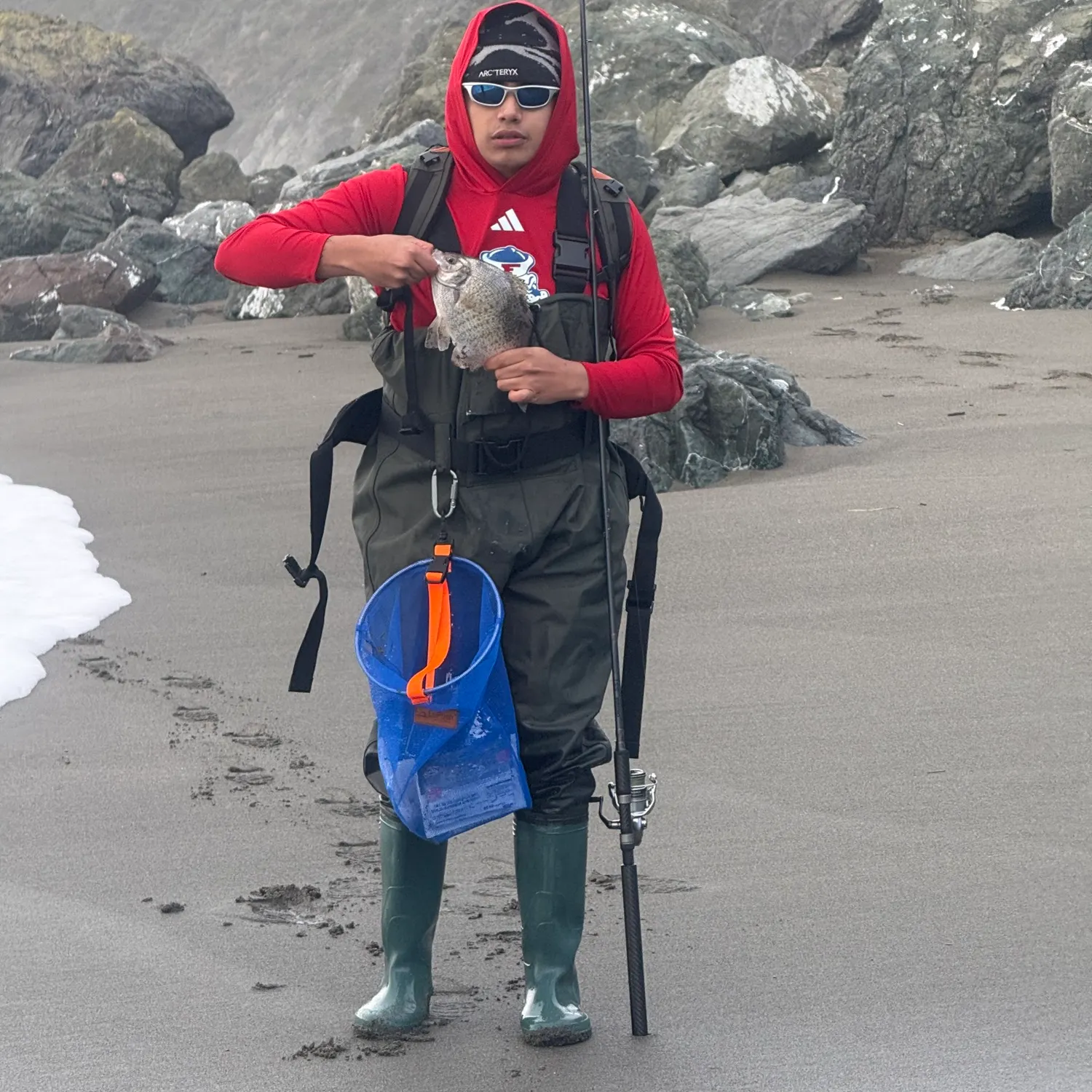 The most recent Redtail surfperch catches on Fishbrain