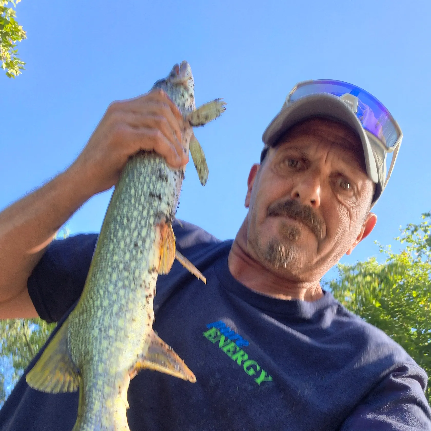 Northern pike caught on Fishbrain