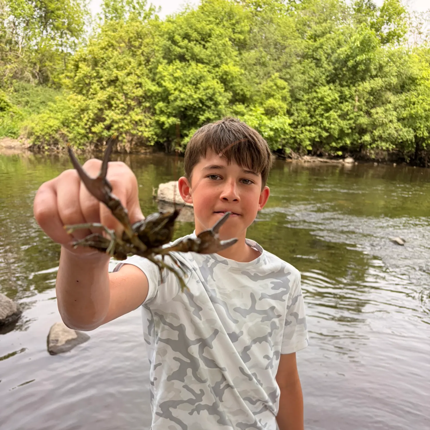 The most recent Virile crayfish catches on Fishbrain