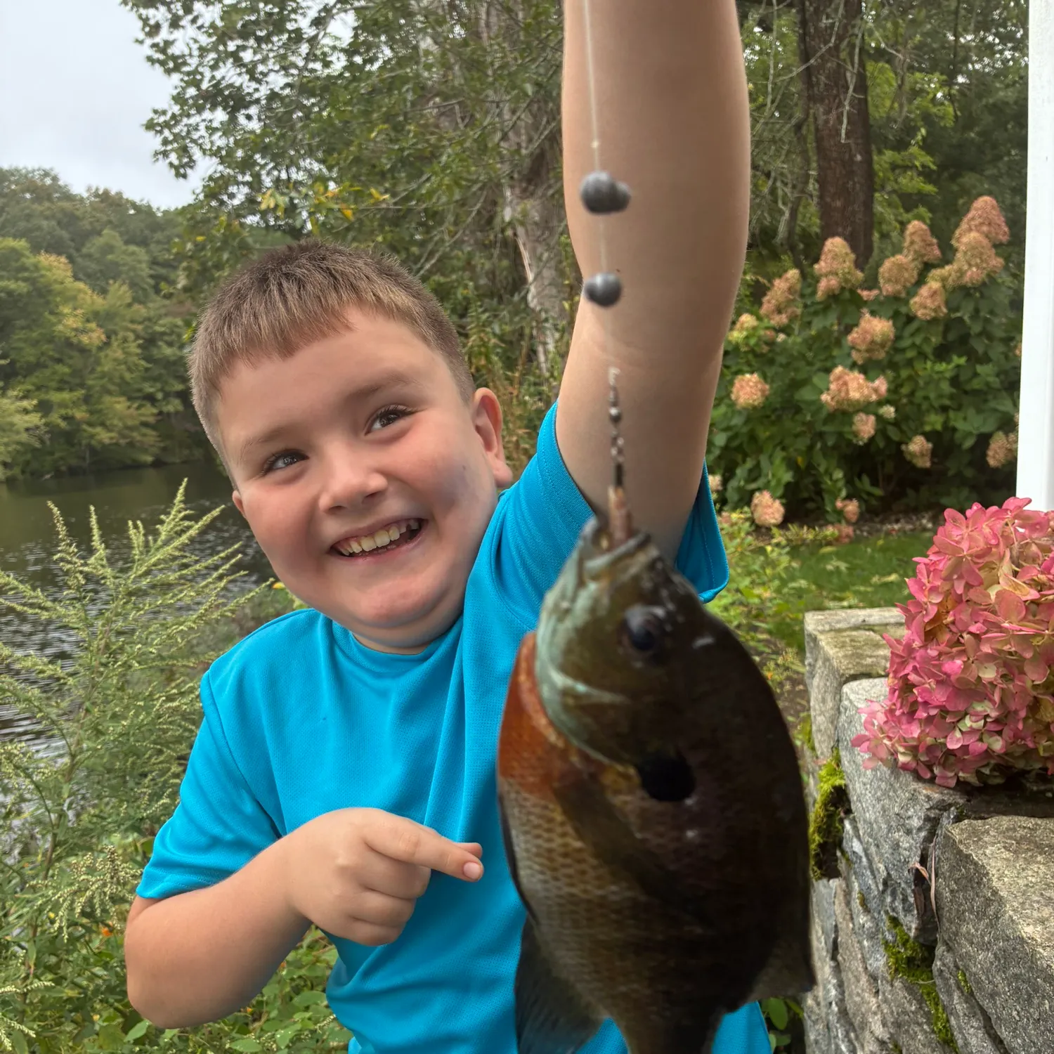 Bluegill caught on Fishbrain