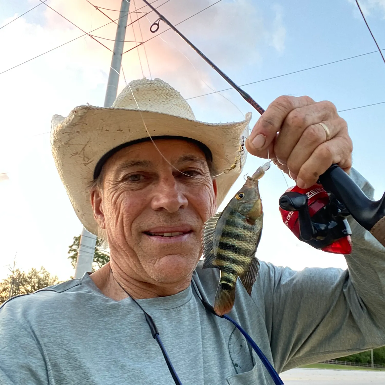 The most recent Redbreast tilapia catches on Fishbrain