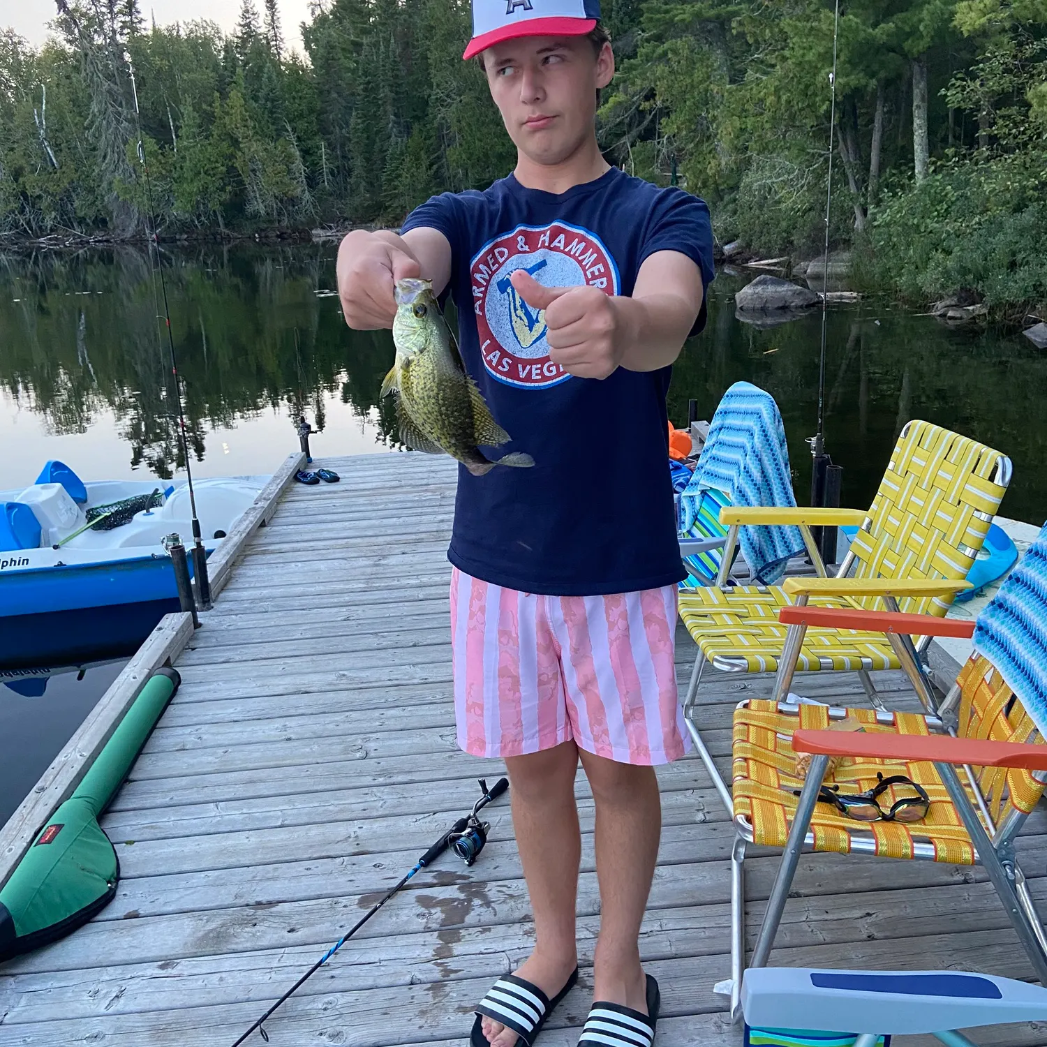 Black crappie caught on Fishbrain