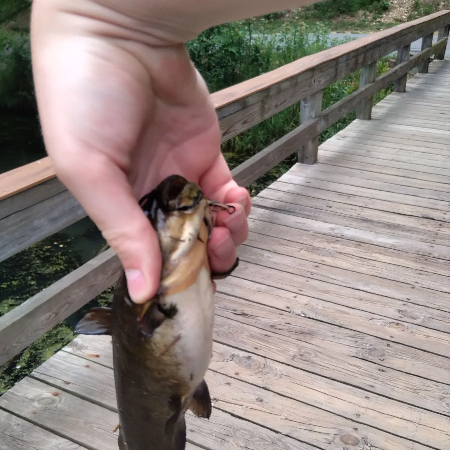 catch