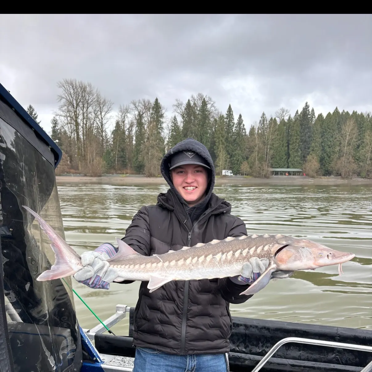 The most recent White sturgeon catches on Fishbrain