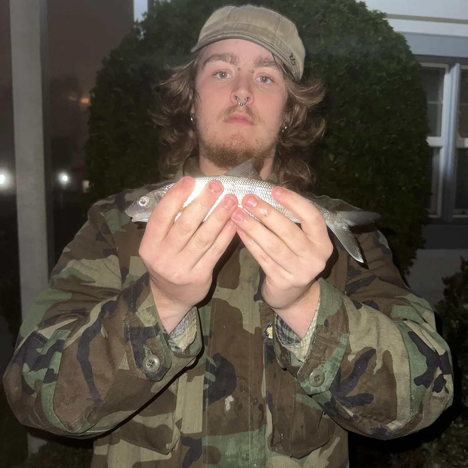 The most recent Cortez bonefish catches on Fishbrain