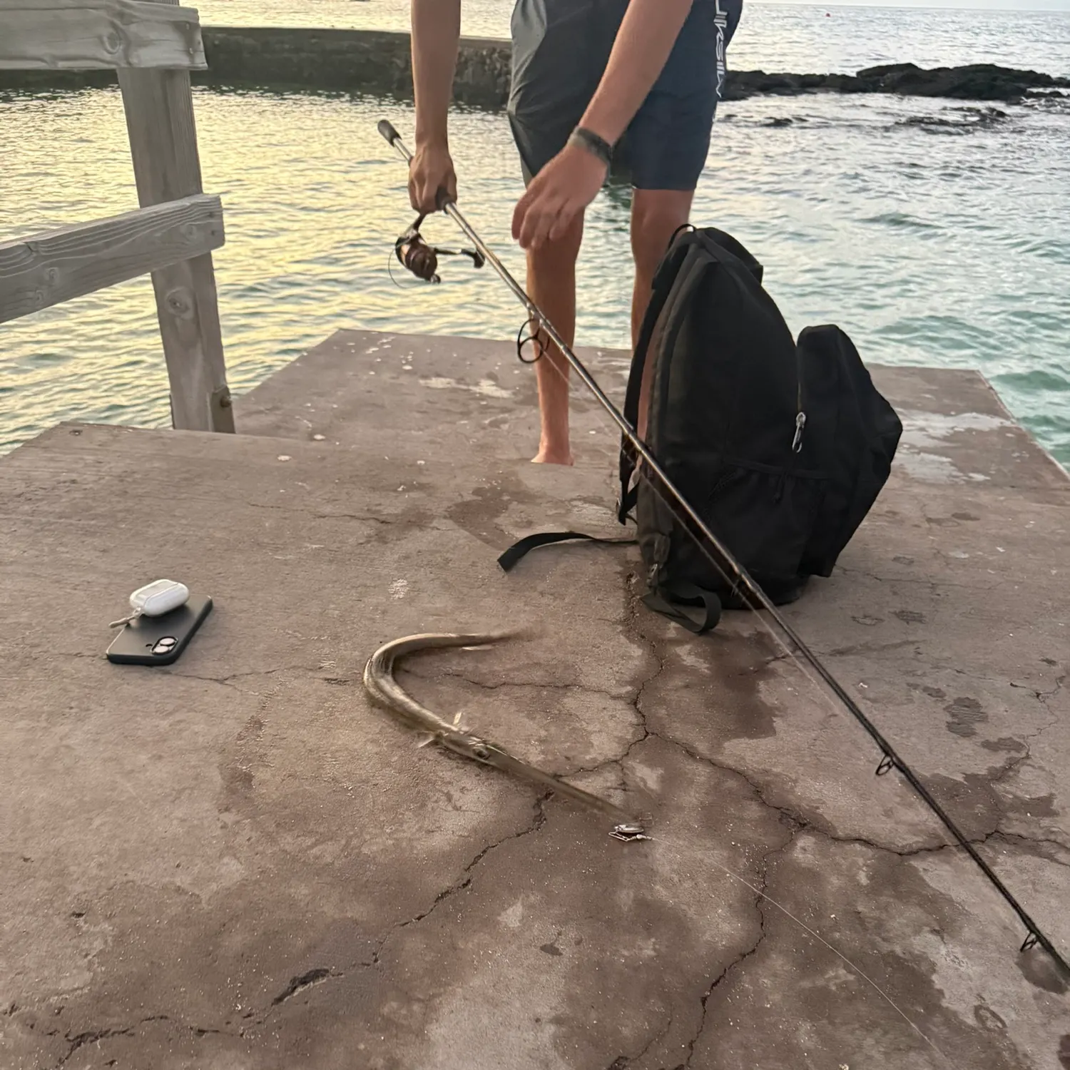 The most recent Atlantic needlefish catches on Fishbrain