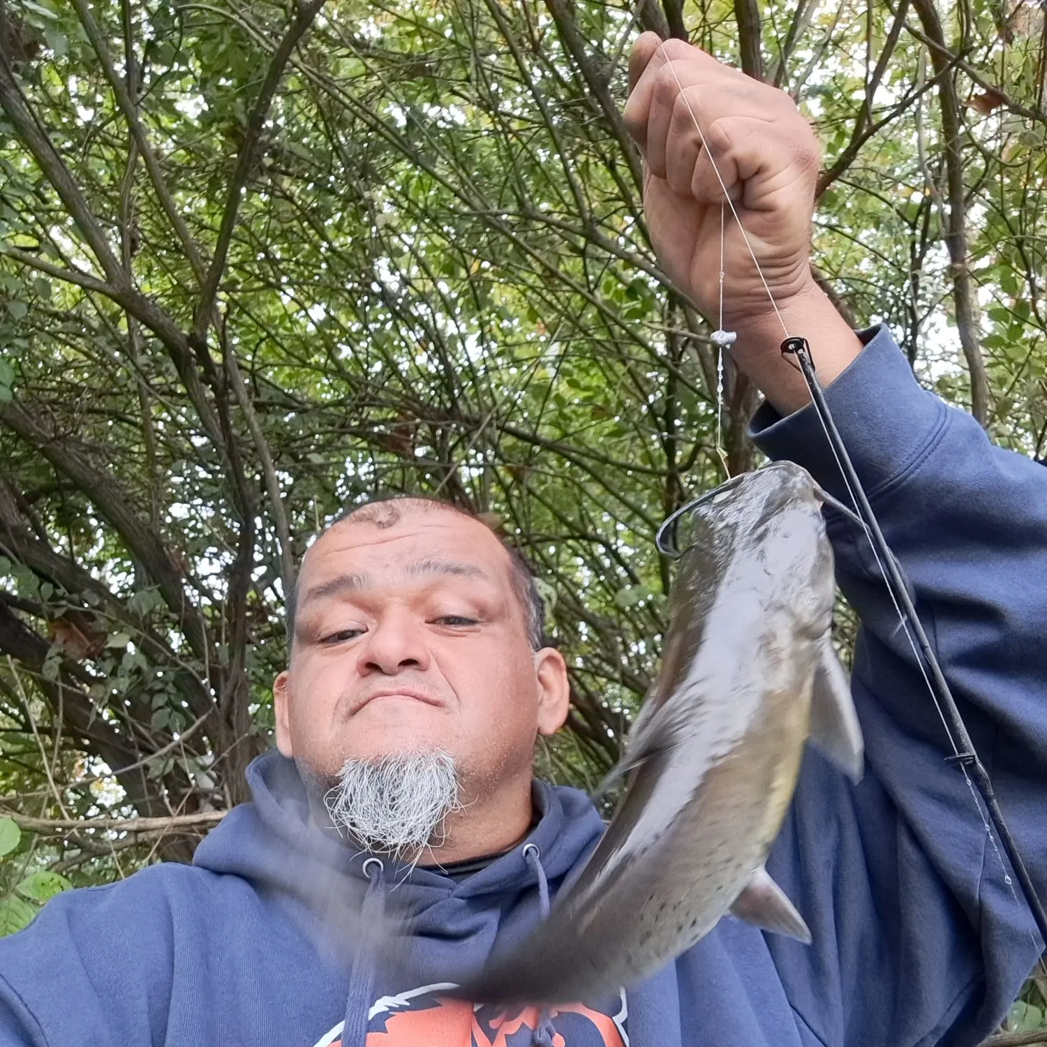 Channel catfish caught on Fishbrain