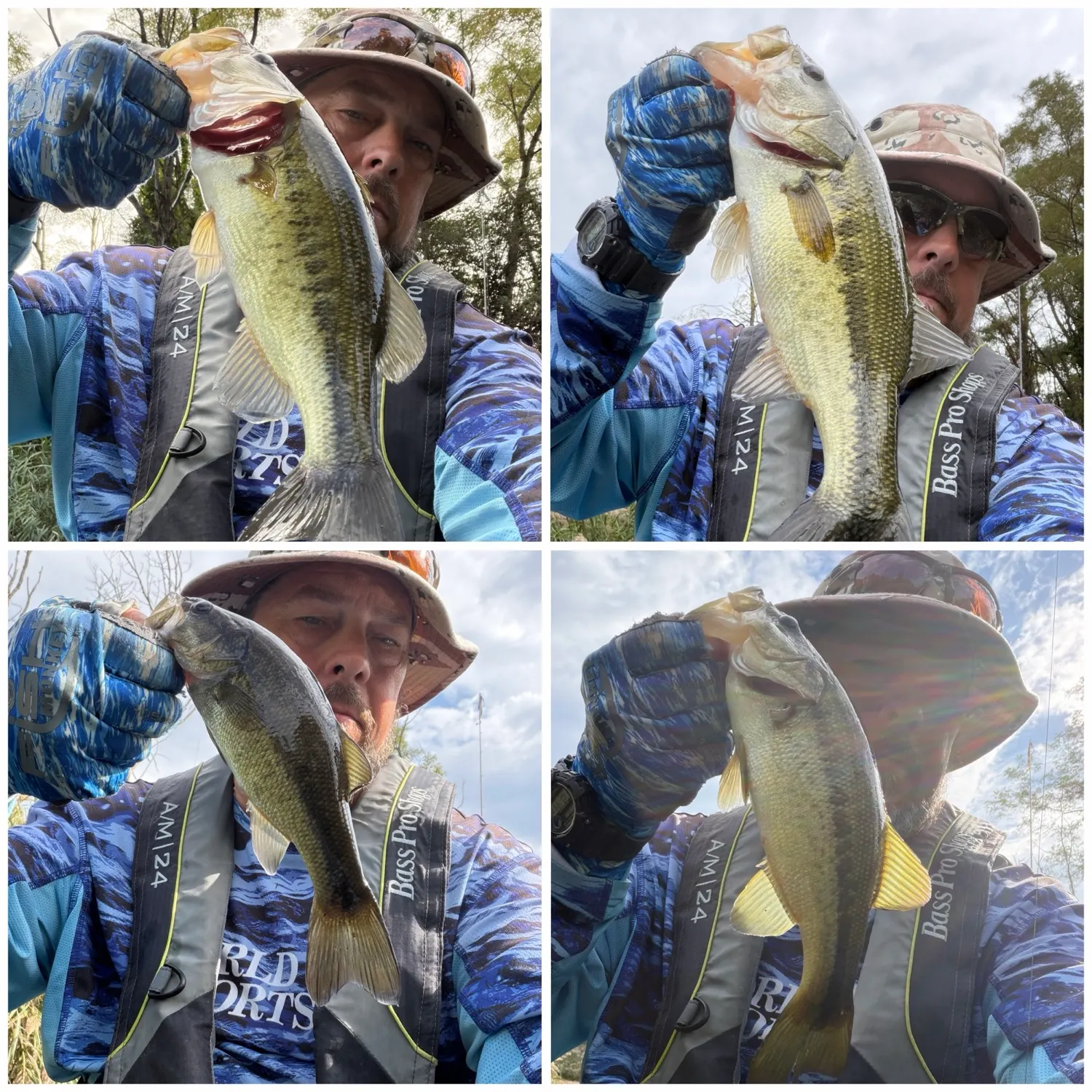 Largemouth bass caught on Fishbrain