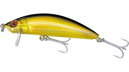 SS Minnow