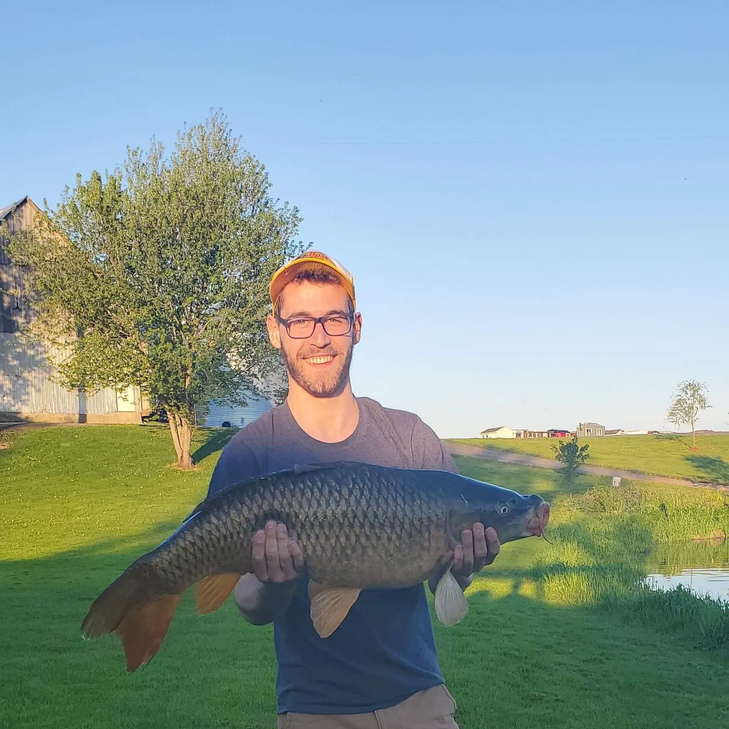 Common carp caught on Fishbrain