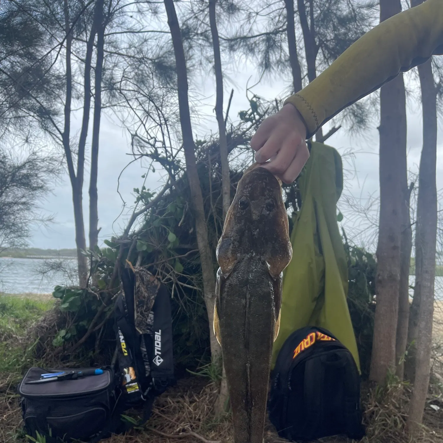 Fish caught on Fishbrain