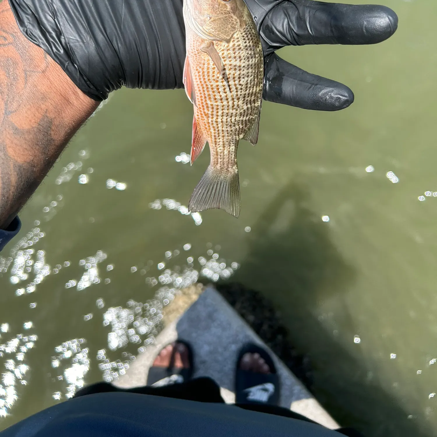 catch