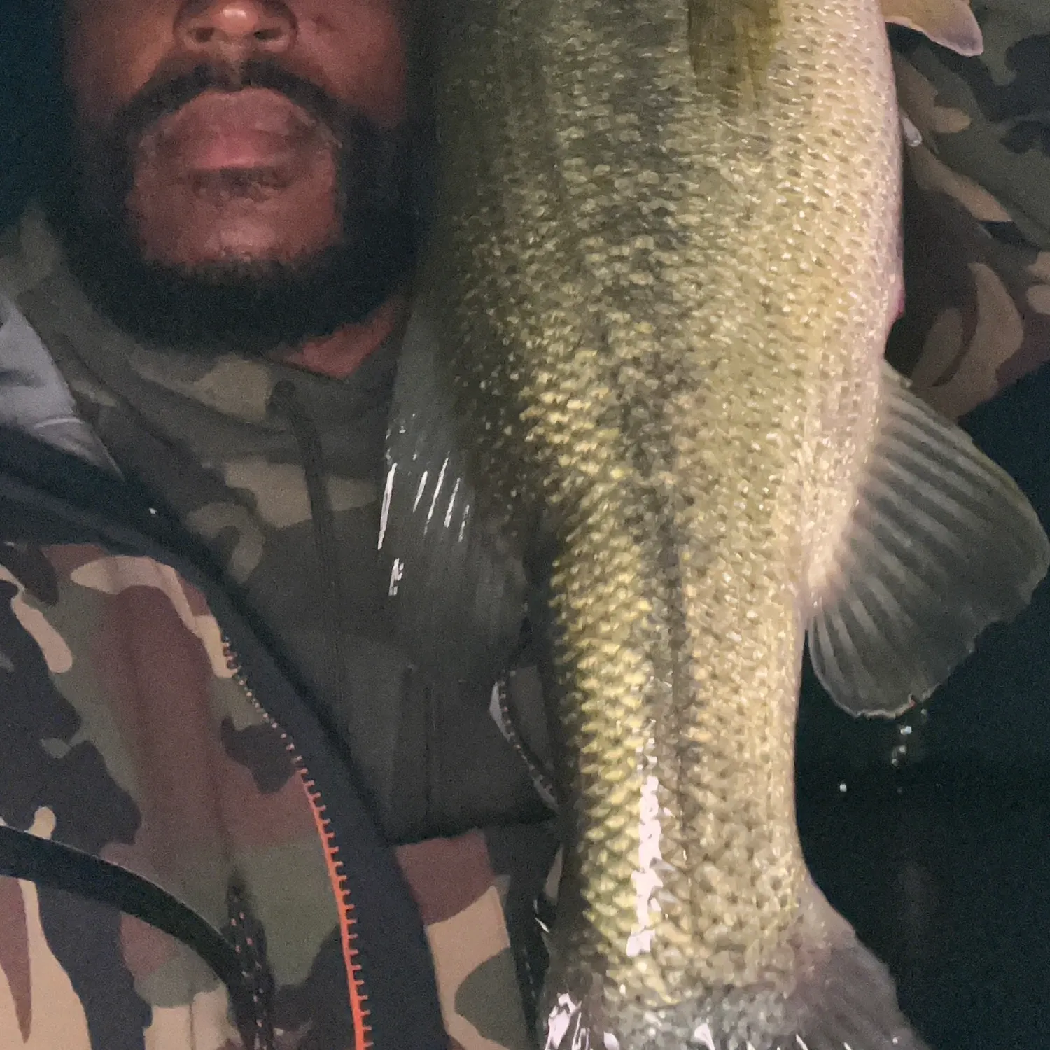 Largemouth bass caught on Fishbrain
