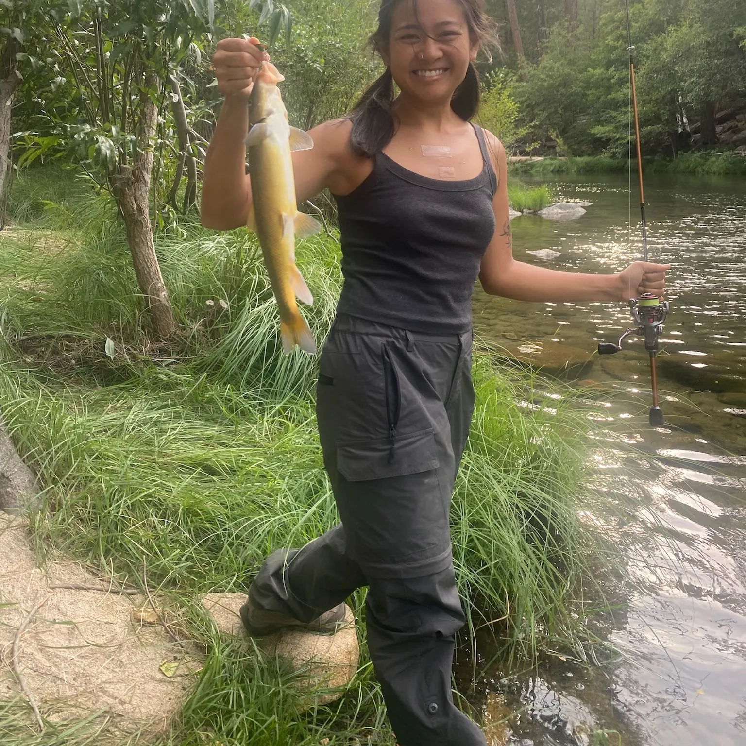 The most recent Sacramento sucker catches on Fishbrain