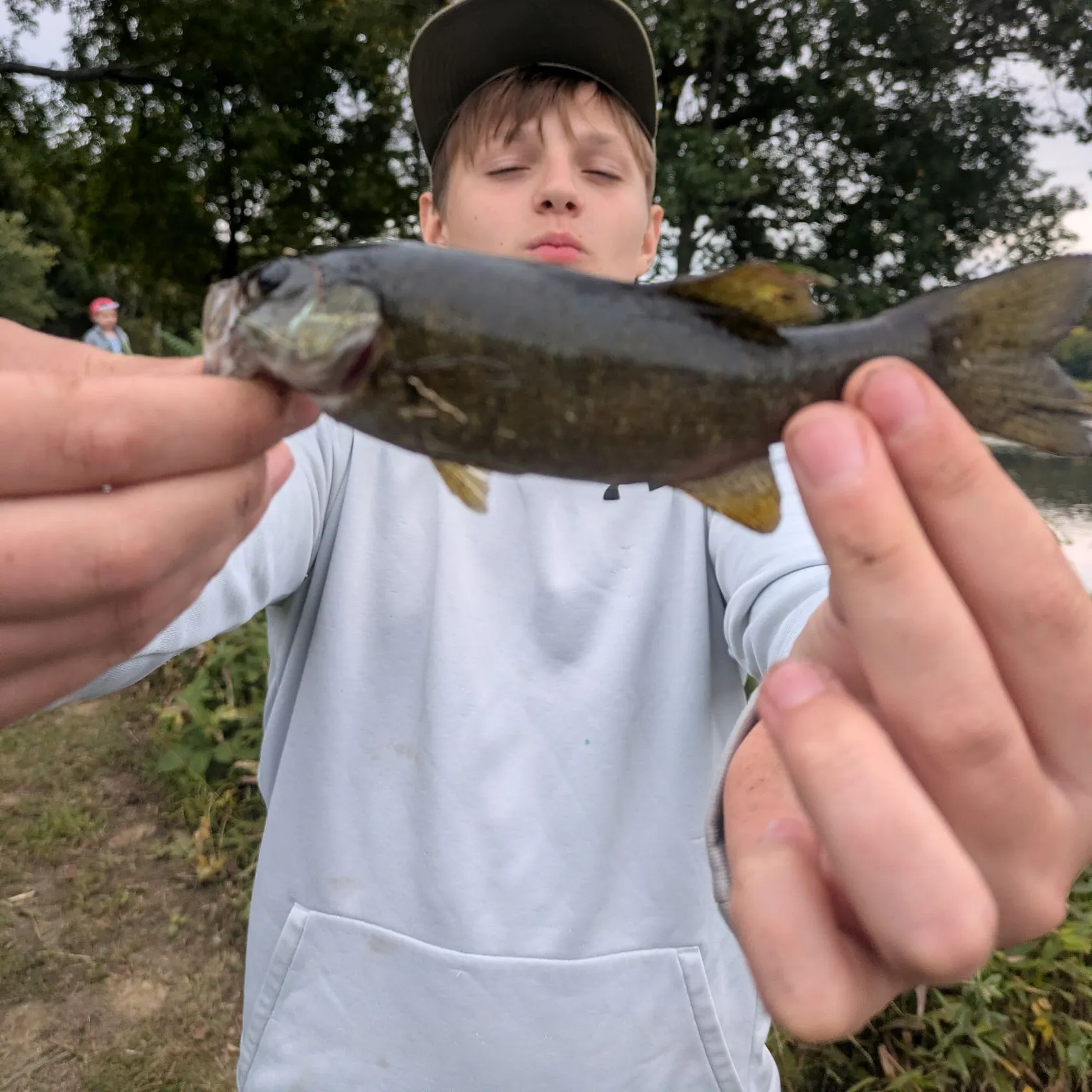 Yellow perch caught on Fishbrain