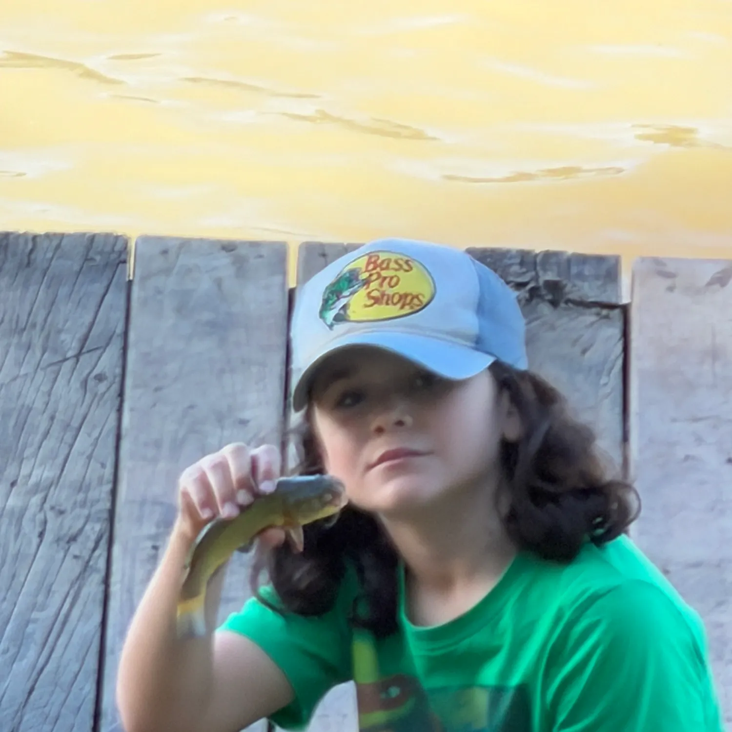 Black bullhead caught on Fishbrain