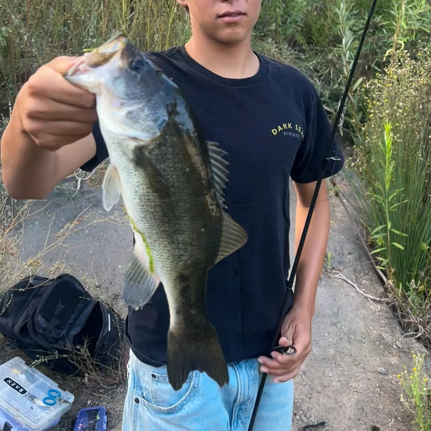 Largemouth bass caught on Fishbrain