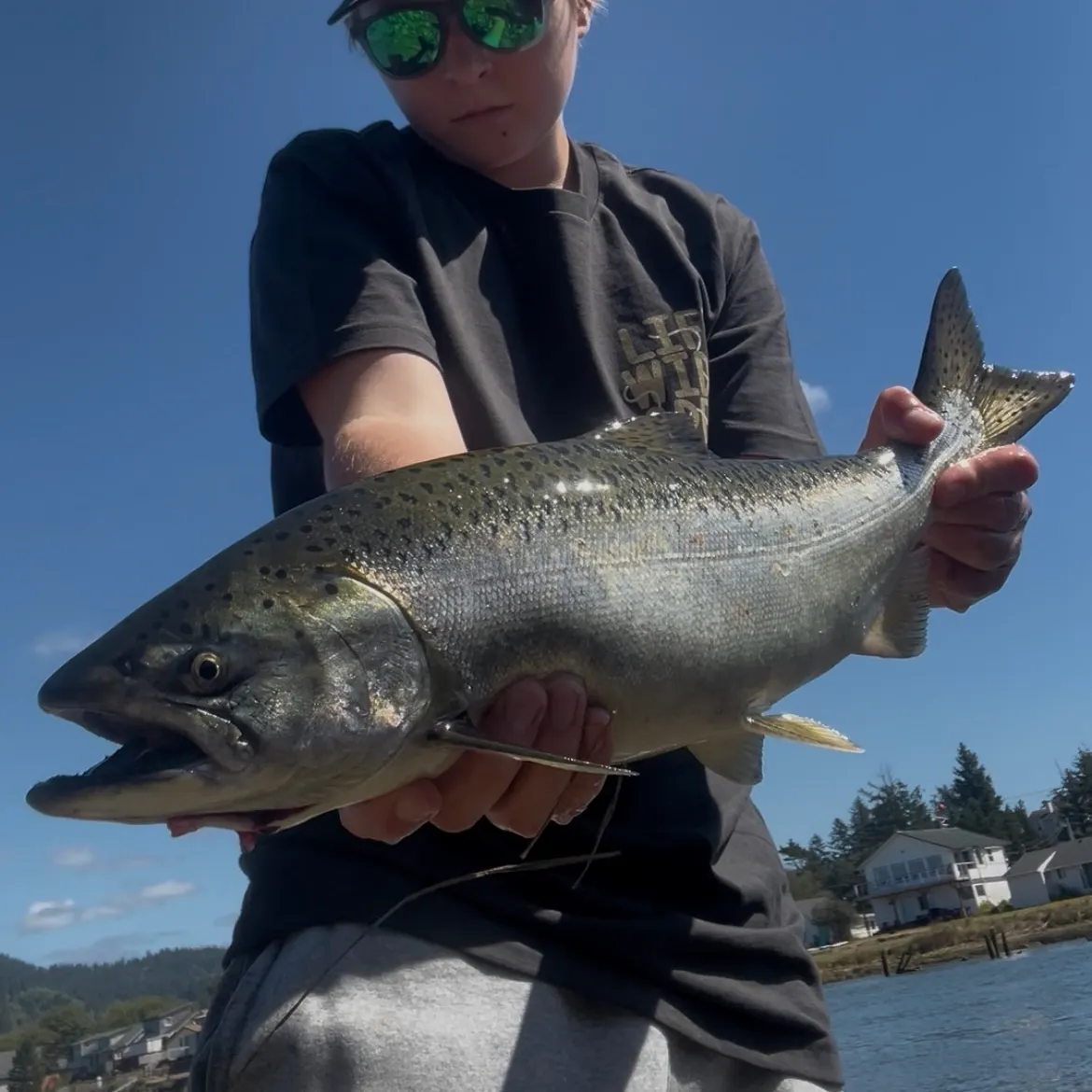 Chinook salmon caught on Fishbrain