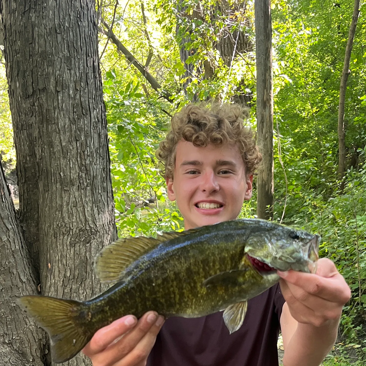 Smallmouth bass caught on Fishbrain