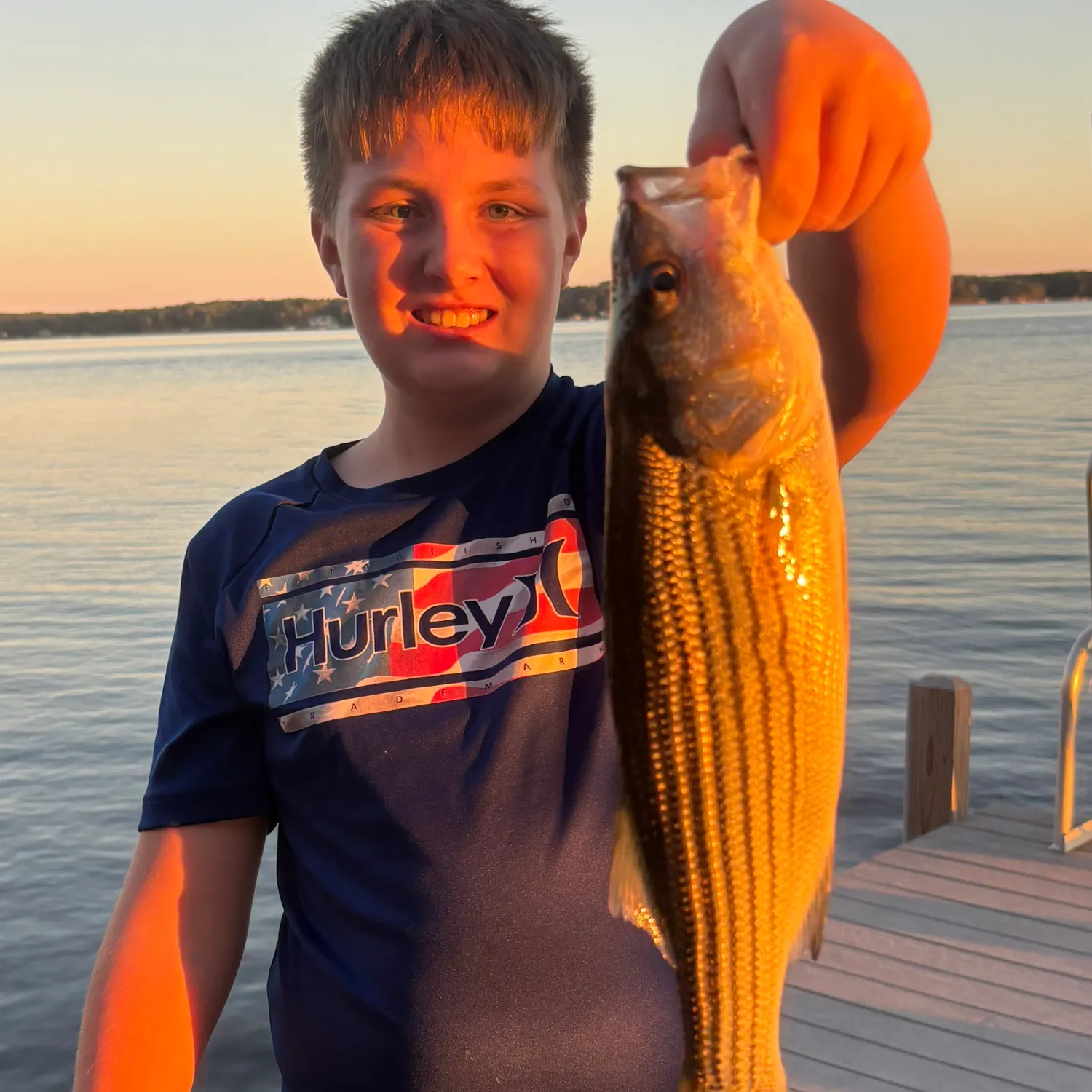 Striped bass caught on Fishbrain