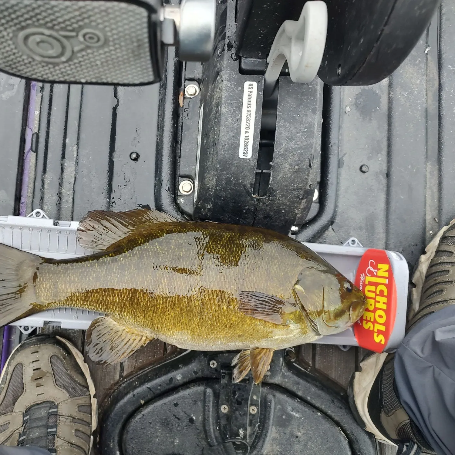 Smallmouth bass caught on Fishbrain