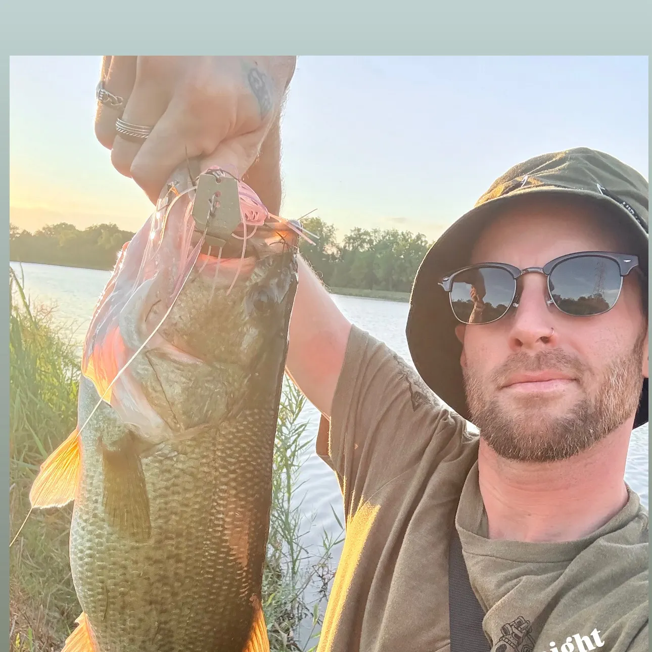 Largemouth bass caught on Fishbrain