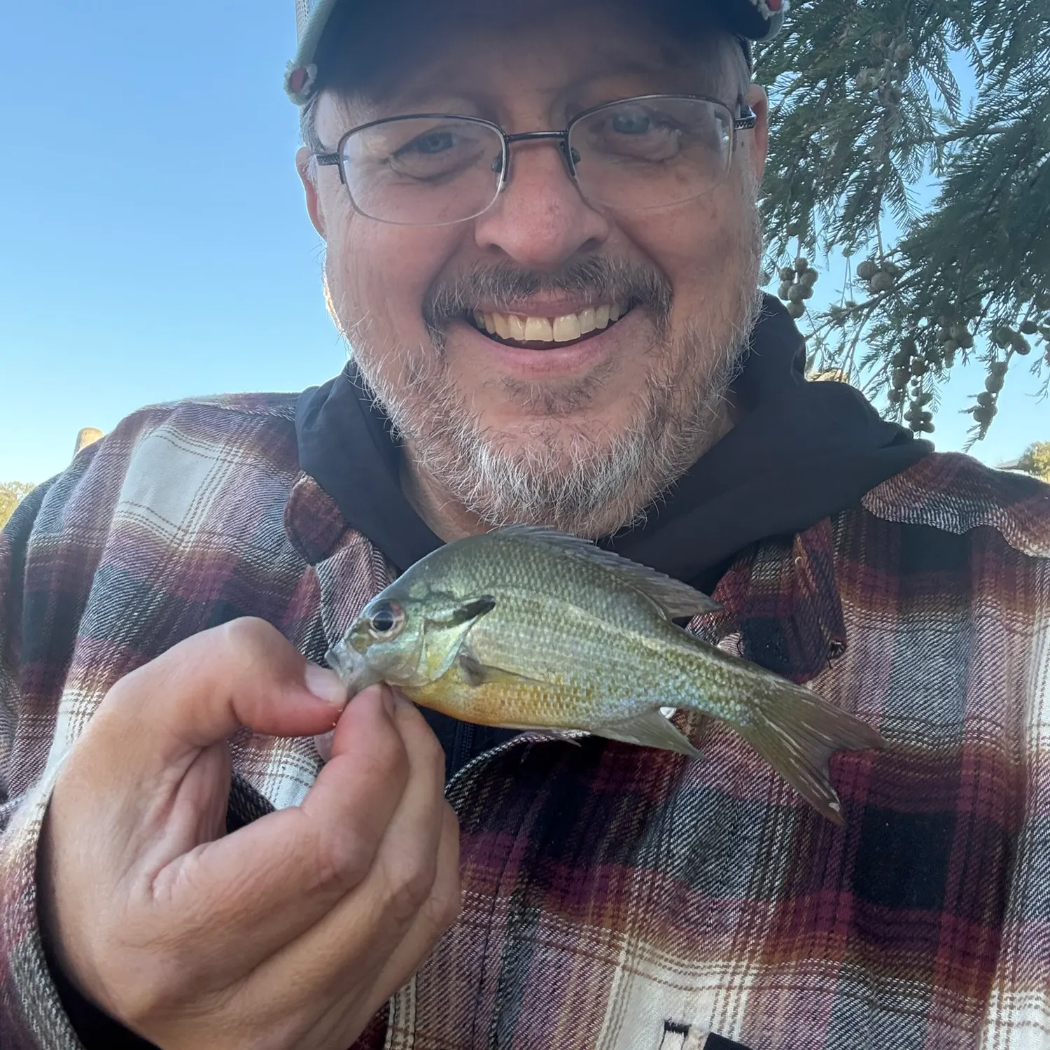 Redbreast sunfish caught on Fishbrain