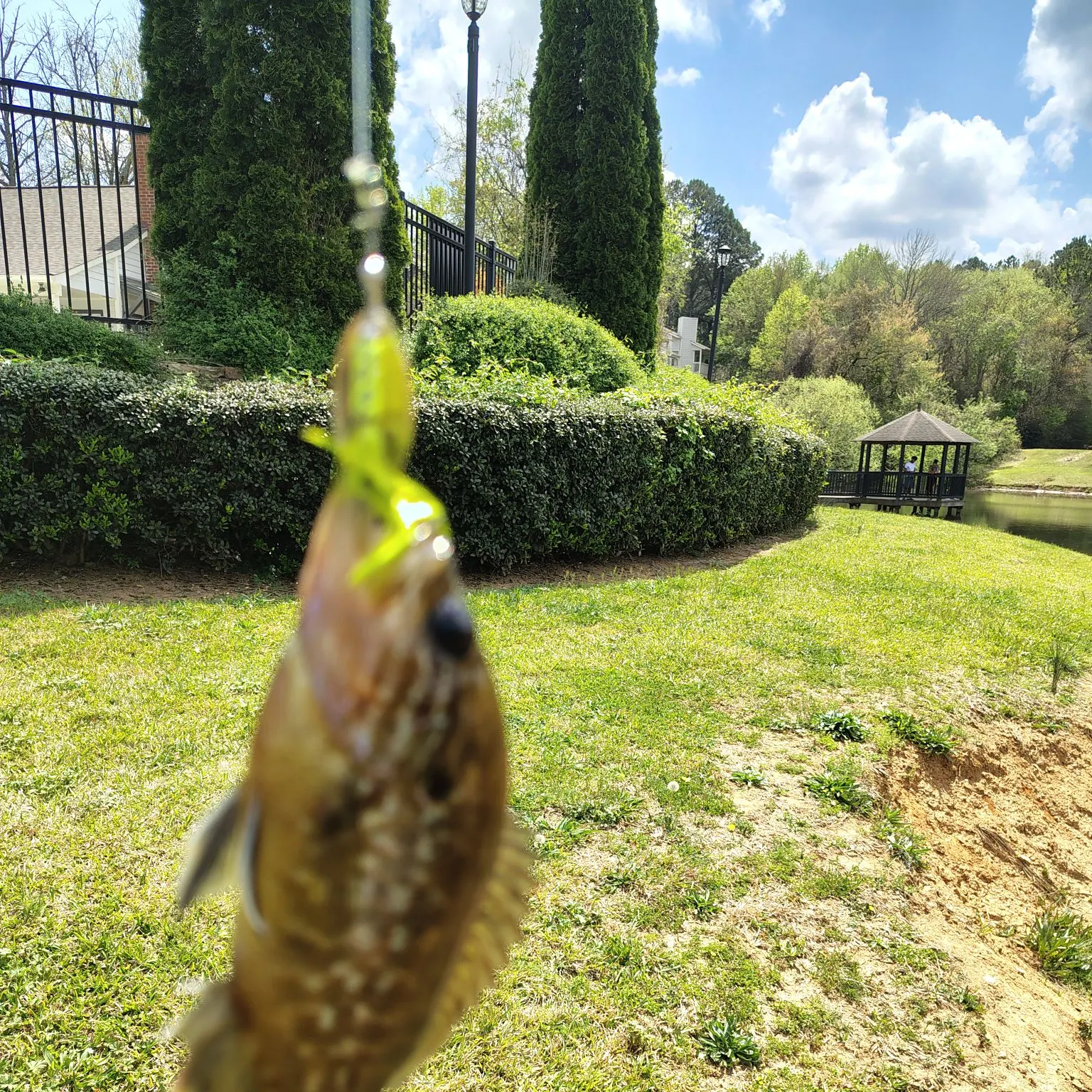 catch