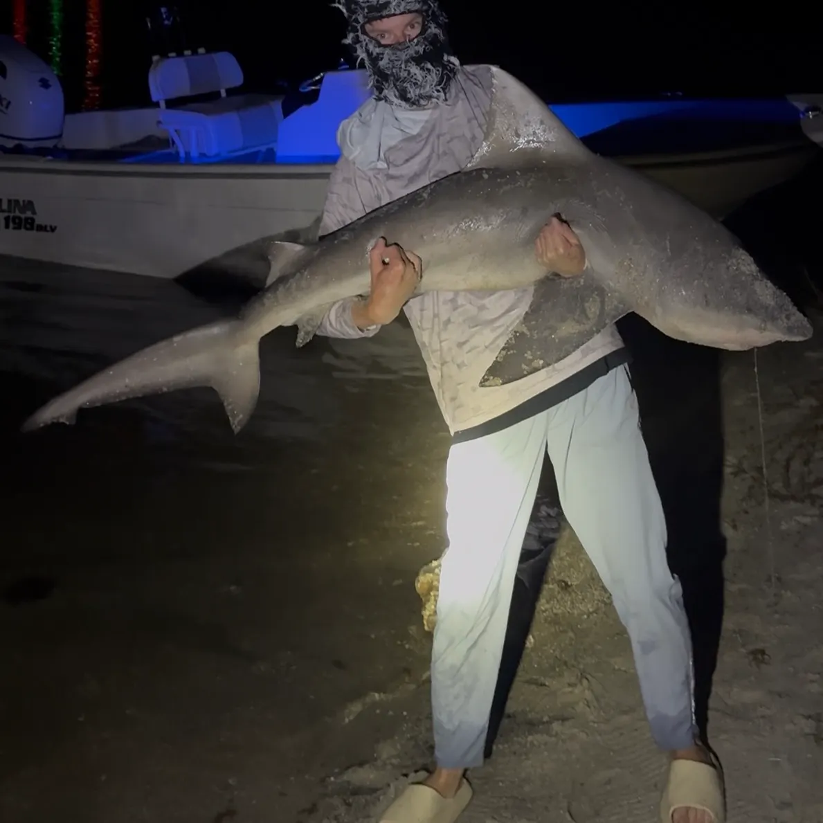 The most recent Bull shark catches on Fishbrain