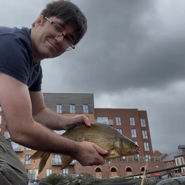 Common bream caught on Fishbrain