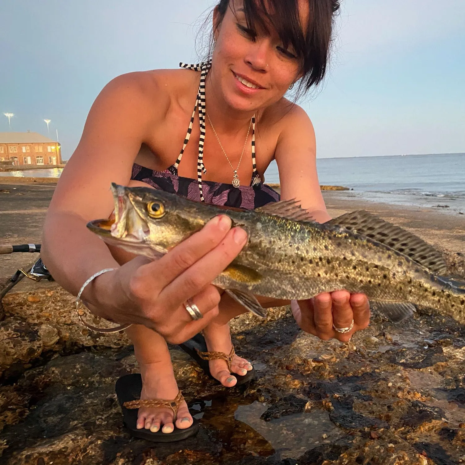 The most popular recent Spotted seatrout catch on Fishbrain