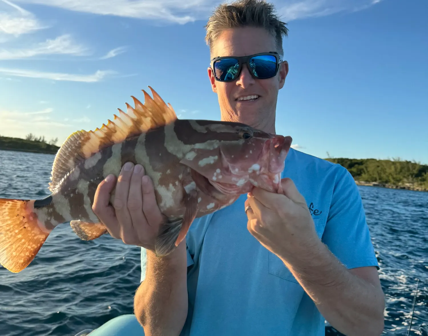 Nassau grouper