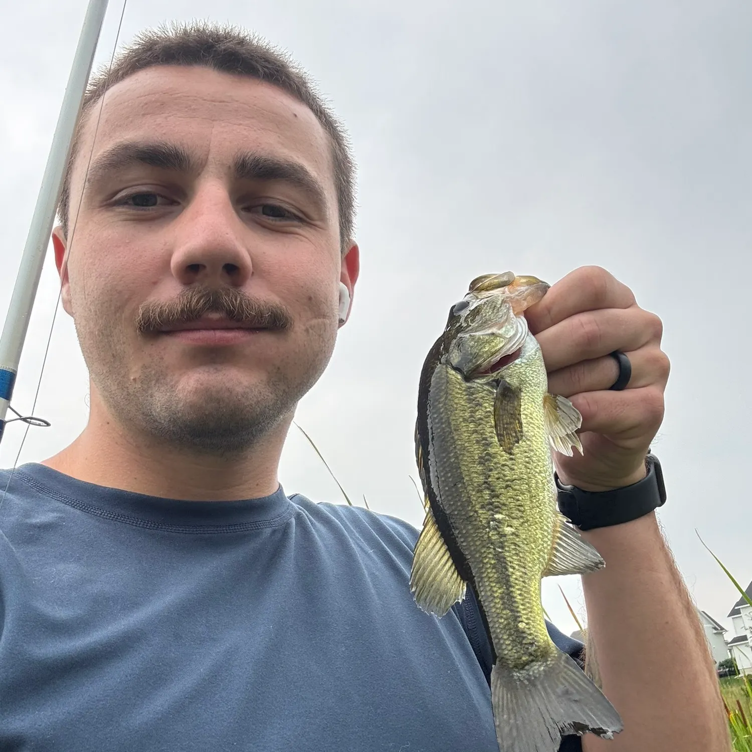 Fish caught on Fishbrain