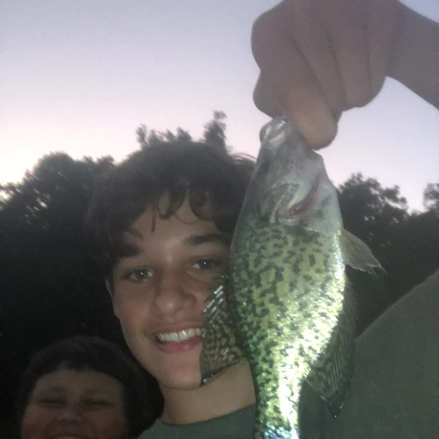 Black crappie caught on Fishbrain