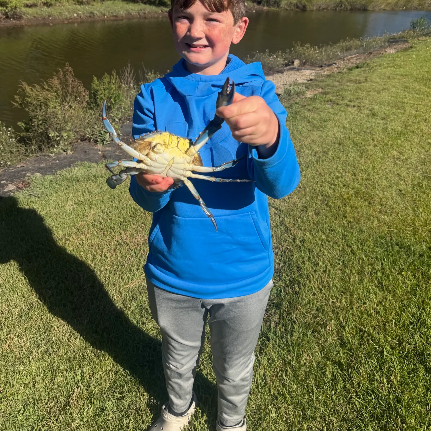 The most recent Blue crab catches on Fishbrain