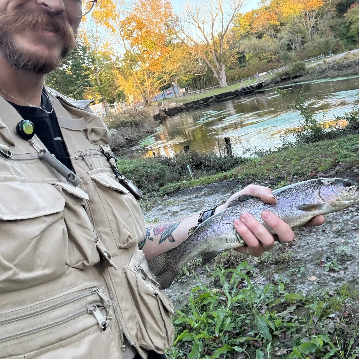 Rainbow trout caught on Fishbrain