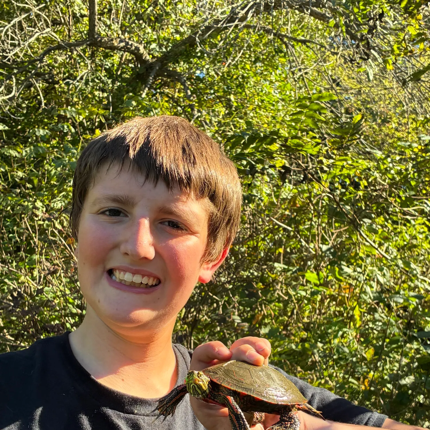 Painted turtle caught on Fishbrain