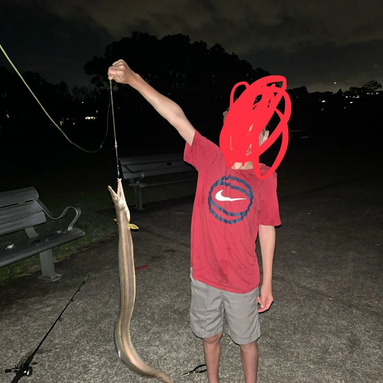 most liked catch image