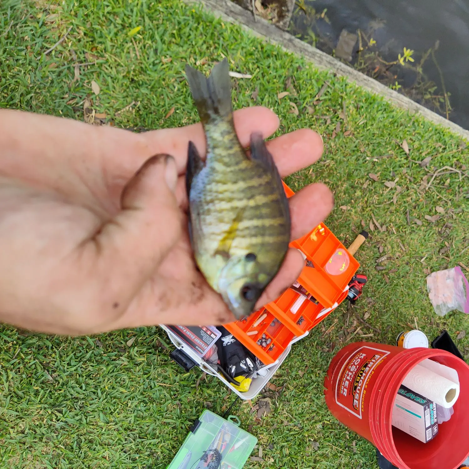 catch