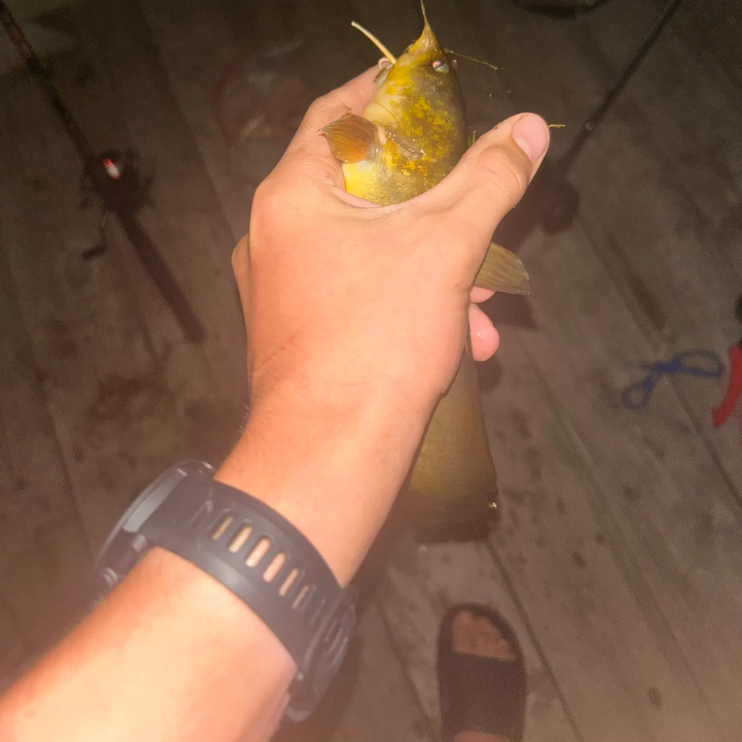 catch