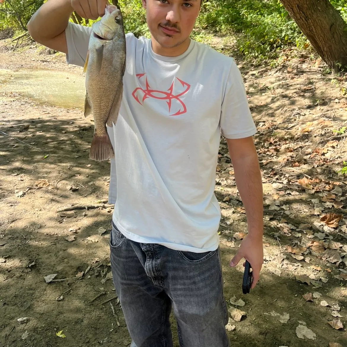 Freshwater drum caught on Fishbrain