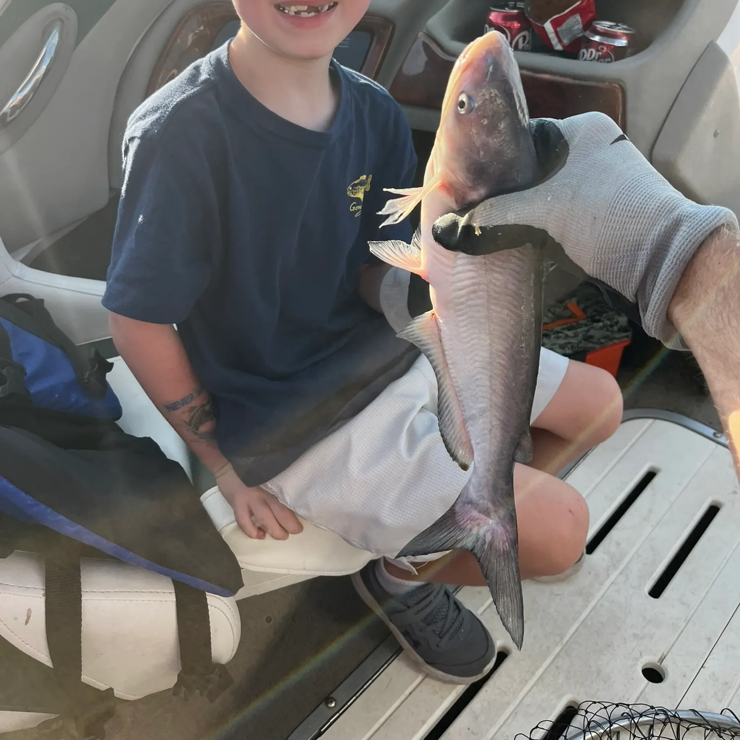 Blue catfish caught on Fishbrain