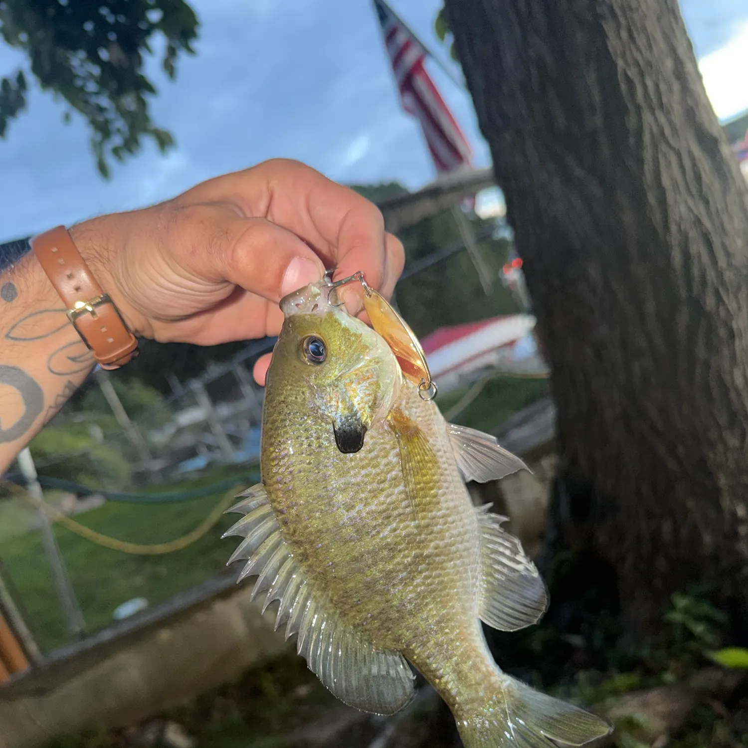 catch