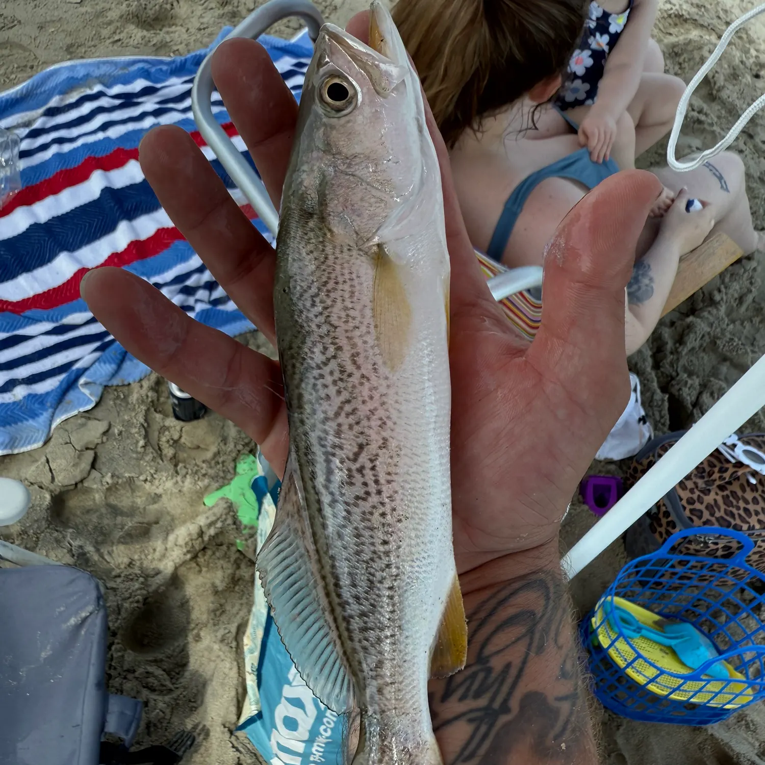 most liked catch image