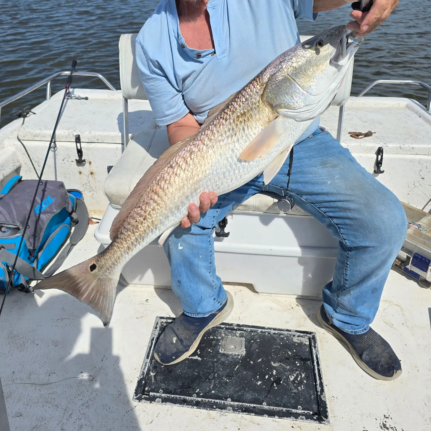Red drum caught on Fishbrain
