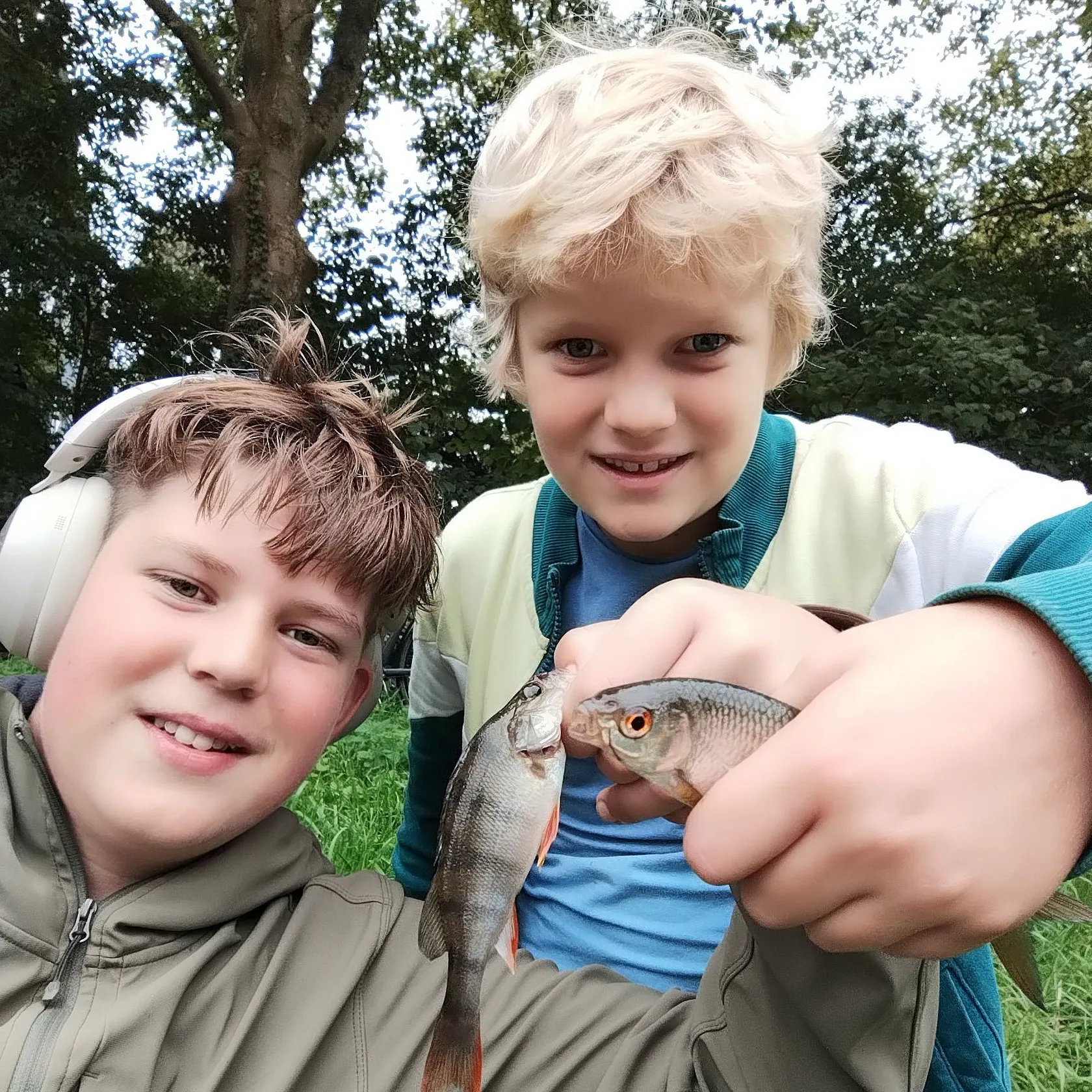 European perch caught on Fishbrain