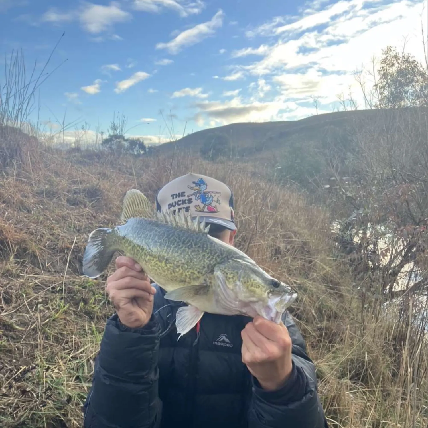 most liked catch image