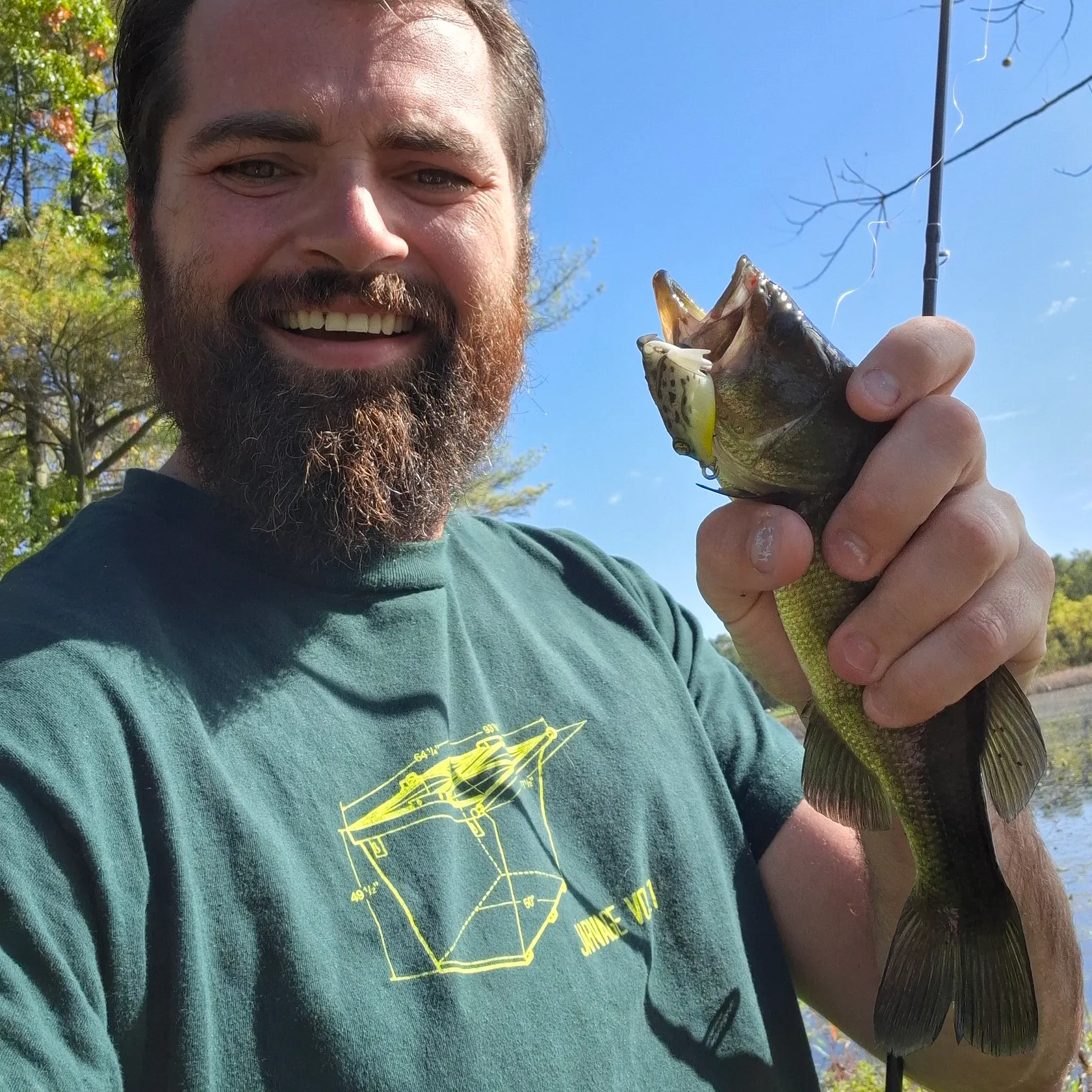 Largemouth bass caught on Fishbrain