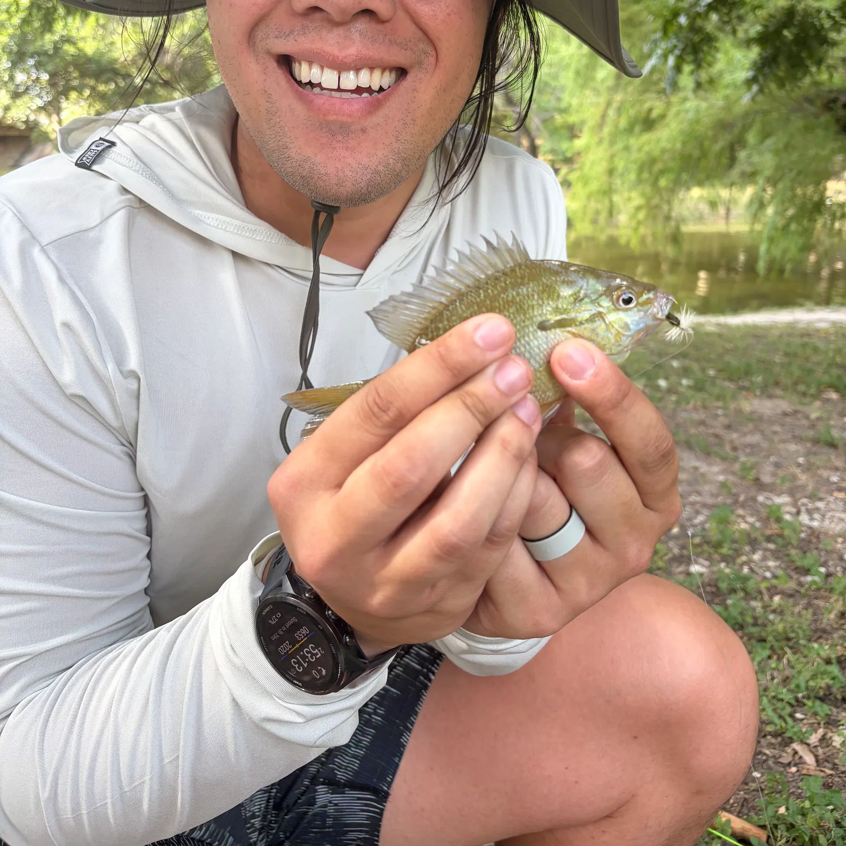 Green sunfish caught on Fishbrain
